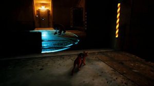 Как найти "Значок Neco" в Stray | Stray