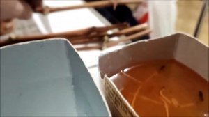 Как сохранить черенки винограда до весны