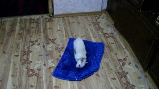 Ник после бани смотреть онлайн