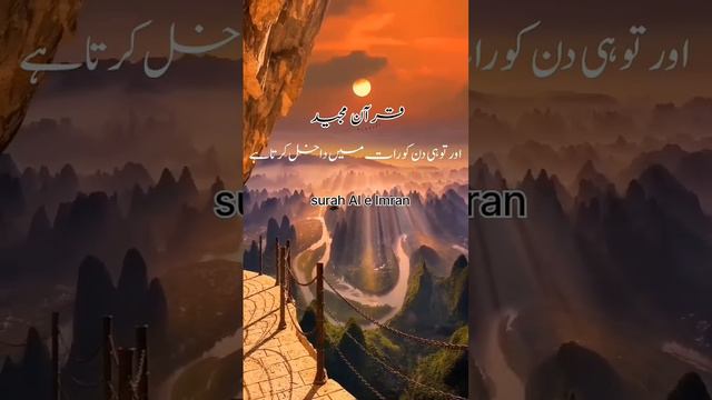 surah Aal e Imran Urdu Translation 💖 #quran #freecopyright