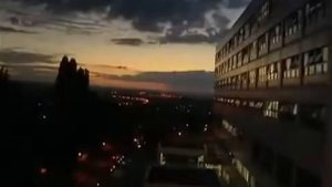 Тигр жестокое видео напал на человека