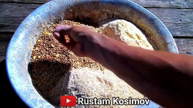 ГОШТ УЧУН ИНДЮК BIG-6 БОКИШ БИЗНЕСИ КУРКА ТОЛИК МАЛУМОТ