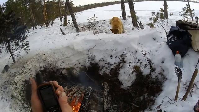 Тайное озеро...непролазные места в лесах ХМАО