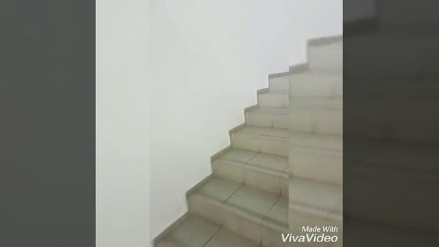 День спортсменки смотреть онлайн