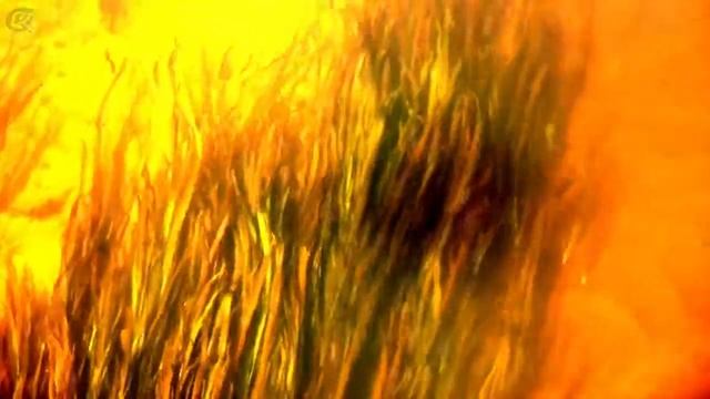 Реки Беларуси 2 смотреть онлайн