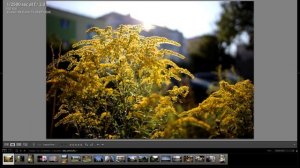 Обзор двух объективов Yongnuo YnLens R DF DSM: 85/1.8 и 35/2 (объективы для Canon EOS R, байонет RF