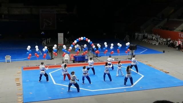 Тхэквондо Магнитогорск. Показательные выступления. Турнир Братишка смотреть онлайн