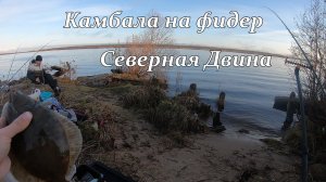 Камбала на фидер Северная Двина!