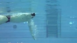 Техника плавания кролем ( swimming technique Freestyle) Александр Попов
