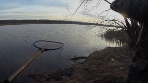 Утренняя рыбалка на выползка