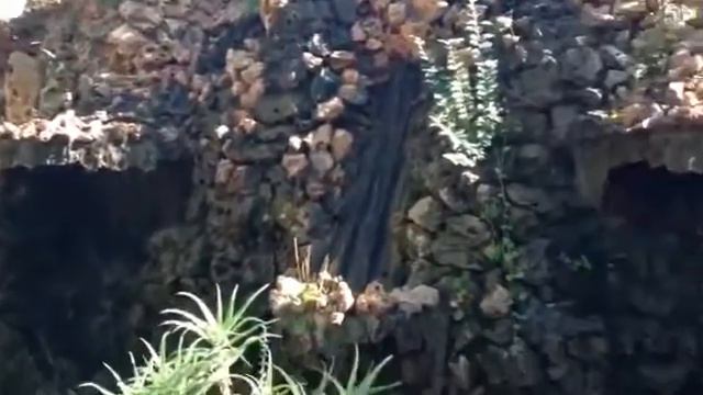 Princess Lily in a Moroccan garden смотреть онлайн