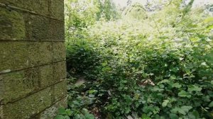 Заброшенный замок криминального авторитета