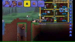 Как дюпать сундуки без механизмов на Android / IOS / Дюп сундуков Terraria