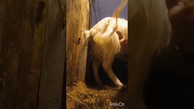 Вопрос-ответ смотреть онлайн