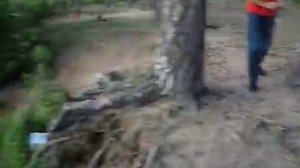 Озеро Вилея Хвойнинский район Новгородская обл