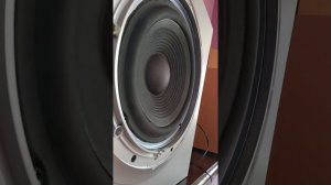 Самый басистый и громки сабвуфер SONU SS-WS42