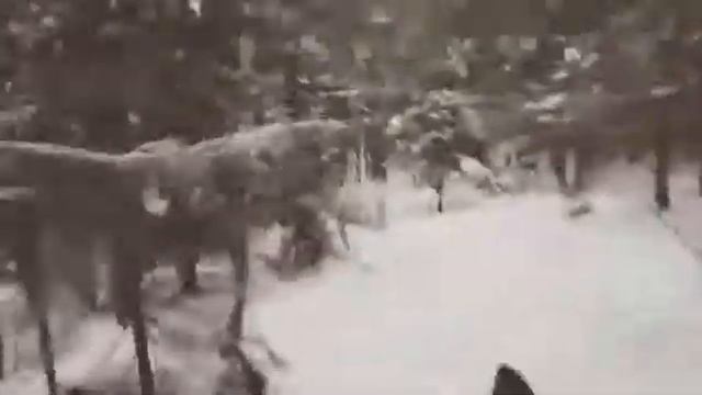 Галлопом на лошади смотреть онлайн