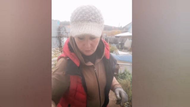 Ежевика для начинающих смотреть онлайн