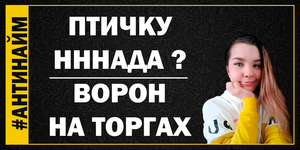 Как купить животных на муниципальных торгах