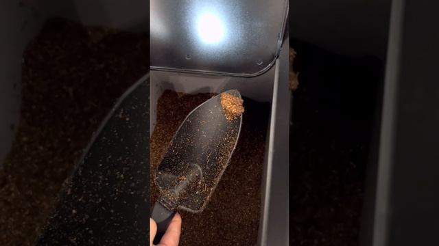 GEME composter use experience vlog part 4 смотреть онлайн