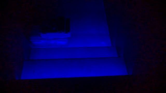 WP 20160219 011 смотреть онлайн