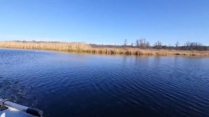 НА МОТОРКЕ ПО БИТЮГУ | БОБРОВ | ВЛОГ