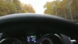 14.4. Как не сбить лося на загородной дороге_