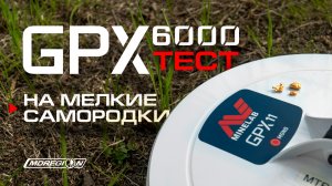 Minelab GPX 6000. Тест на мелкие золотые самородки