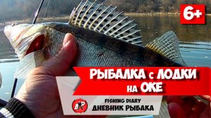 Рыбалка на СПИННИНГ с лодки на ОКЕ! Ловля весеннего хищника перед запретом!