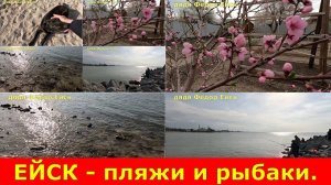 Ейск пляжи и рыбаки.