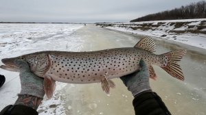 На такую рыбалку грех обижаться!!!