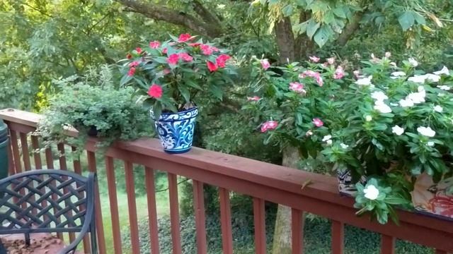 Викторина посвященная Дню Колумба в США смотреть онлайн