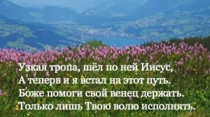 Песня  ,,Томится душа."  Brat Bruder.