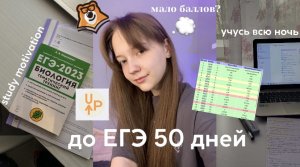 учусь всю ночь || готовлюсь к ЕГЭ 2023