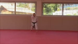 Empi - Karate Training Sonia Fiuza