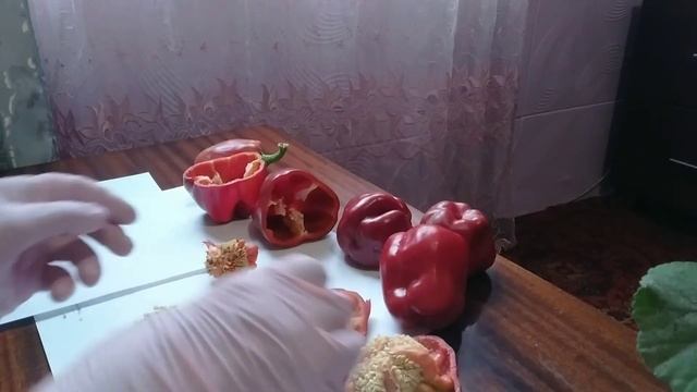 Как собрать семена перца| Заготовка семян перца на рассаду| Хорошие семена — хороший урожай!