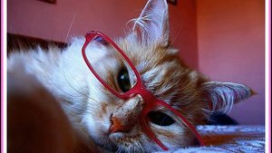 Russian Pop. Красивая лирическая музыка. Обожаю!