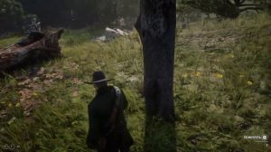 Red Dead Redemption 2.Карта сокровищ Ядовитой Тропы 2