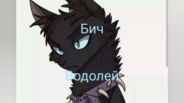 Коты 
воители гороскоп тип
???????????