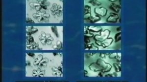 Альберт Игнатенко. Невероятные  возможности человека