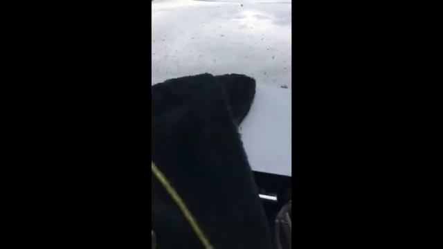 Чудо тряпка смотреть онлайн