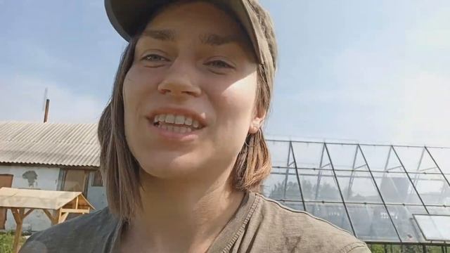 Лук из семян за сезон в одном видео! Мой опыт выращивания лука эксибишен через рассаду. смотреть онлайн