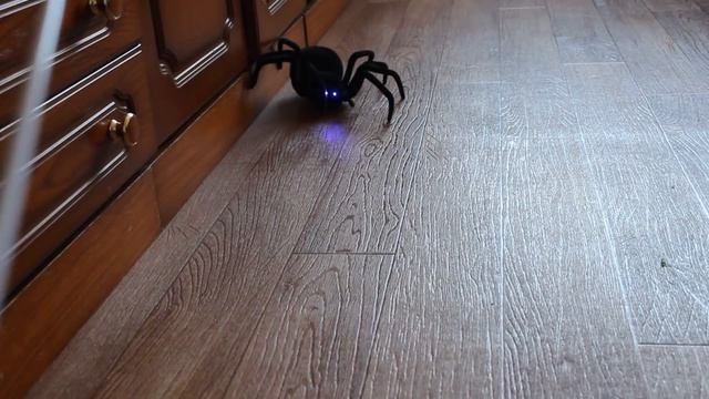 Паук Черная Вдова игрушка на Радио управлении/ Black Widow Spider смотреть онлайн