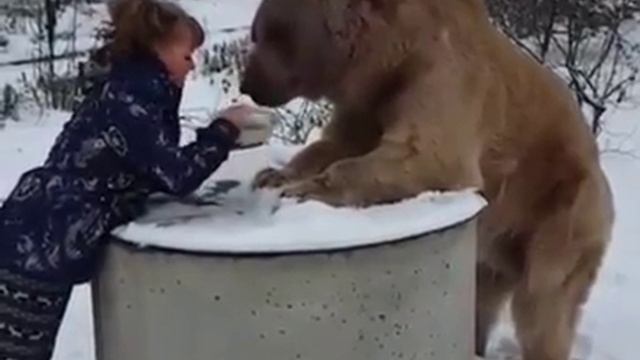 Ничего необычного Просто Мишка пришел покушать Copy смотреть онлайн