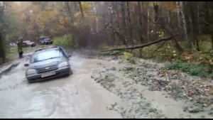 Шеви Нива на Forward Safari 540