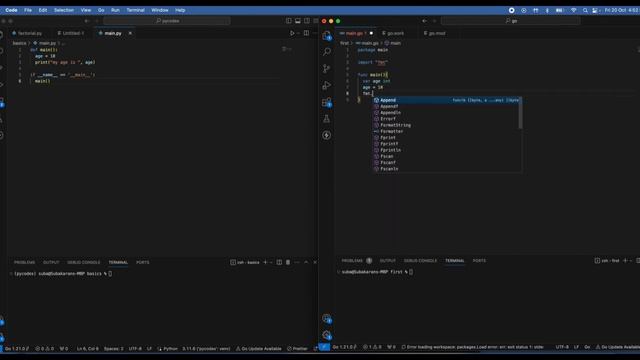 go language | golang vs python | go lang for beginners | full stack #golangtutorial #python #coding