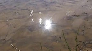 Провинциальная столица. К 75-летию г. Шарья.