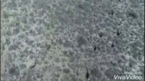 QARAQALPAQSTAN / nature of Qaraqalpaqstan/ Природа Каракалпакстан/ Каракалпакстан табияты