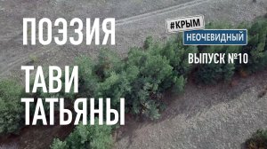 #КрымНеОчевидный: Тебе Крым. Поэзия Татьяны Тави (Глава 136) - Сборник стихов. Поэзия Крыма.