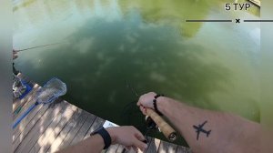 МФК 2 этап Парус Север. Впервые ловлю форель на воблер и цикады reef runner. Играю с Вихровым.